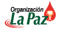 Organización la paz